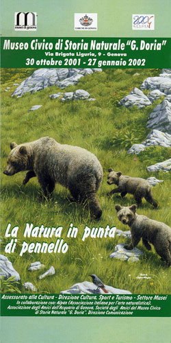 natura-pennello